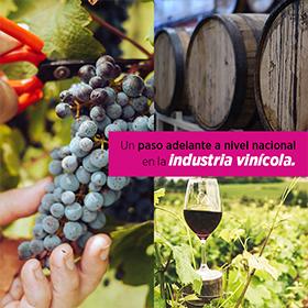 Industria vinícola